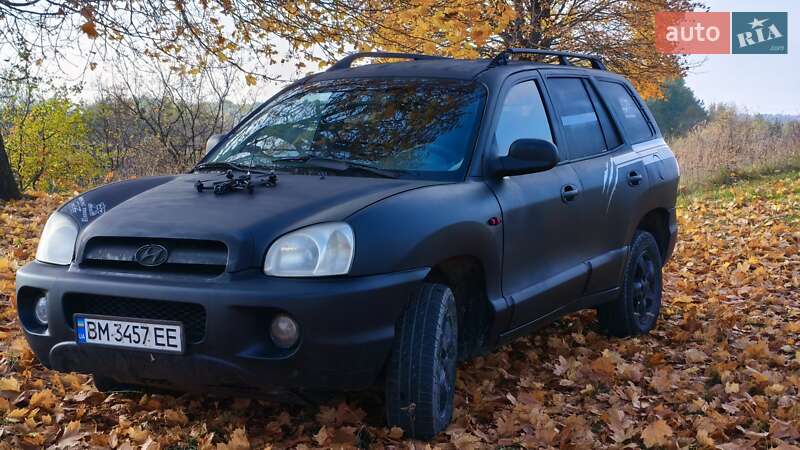 Hyundai Santa FE 2004