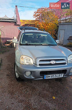 Позашляховик / Кросовер Hyundai Santa FE 2004 в Лебедині
