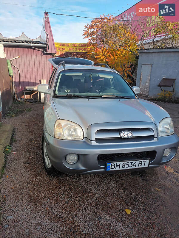 Внедорожник / Кроссовер Hyundai Santa FE 2004 в Лебедине фото Внедорожник / Кроссовер Hyundai Santa FE 2004 в Лебедине