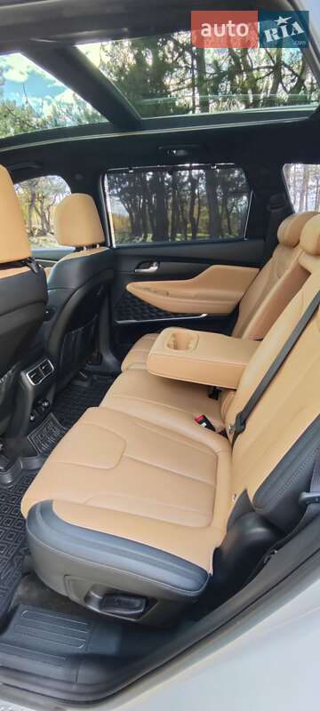 Внедорожник / Кроссовер Hyundai Santa FE 2020 в Вознесенске фото 28 Внедорожник / Кроссовер Hyundai Santa FE 2020 в Вознесенске