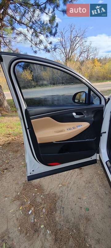 Внедорожник / Кроссовер Hyundai Santa FE 2020 в Вознесенске фото 33 Внедорожник / Кроссовер Hyundai Santa FE 2020 в Вознесенске