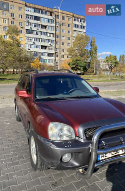 Позашляховик / Кросовер Hyundai Santa FE 2003 в Кам'янському