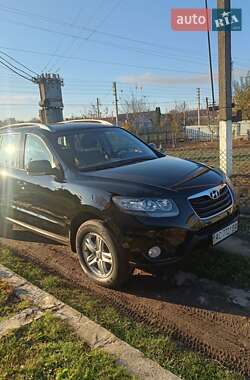 Внедорожник / Кроссовер Hyundai Santa FE 2011 в Луцке
