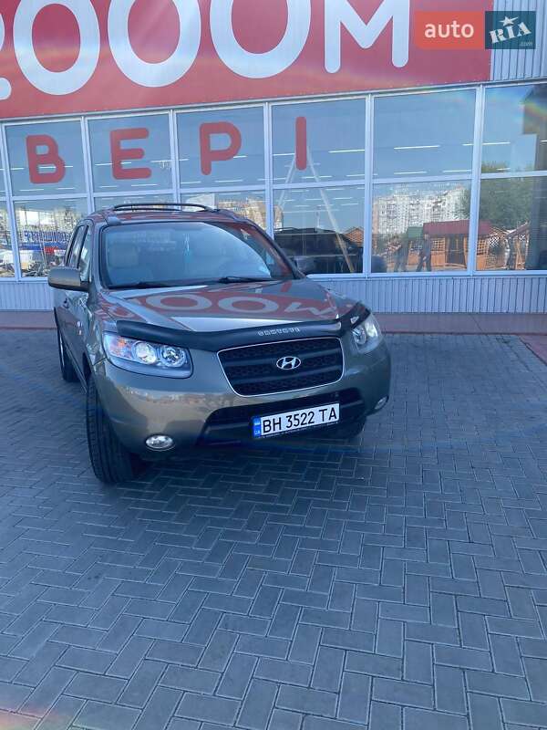 Позашляховик / Кросовер Hyundai Santa FE 2006 в Кривому Озері фото 23 Позашляховик / Кросовер Hyundai Santa FE 2006 в Кривому Озері