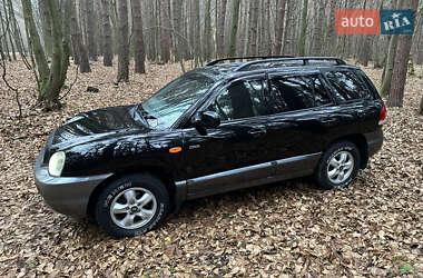 Внедорожник / Кроссовер Hyundai Santa FE 2005 в Житомире