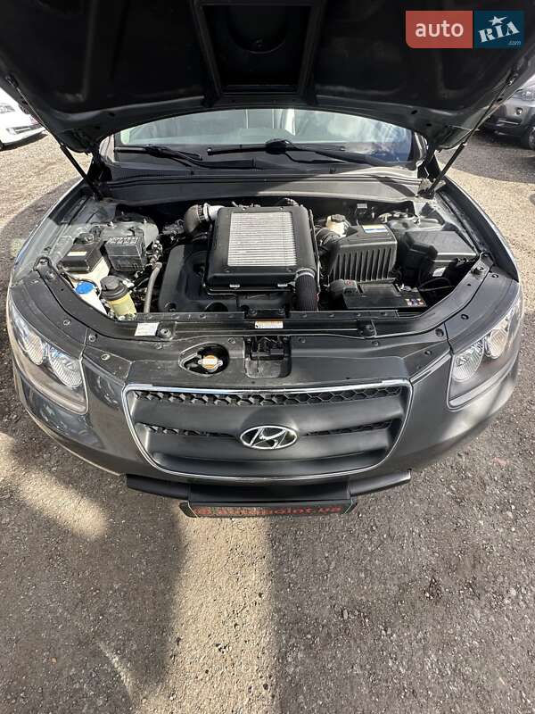 Внедорожник / Кроссовер Hyundai Santa FE 2009 в Белогородке фото 47 Внедорожник / Кроссовер Hyundai Santa FE 2009 в Белогородке