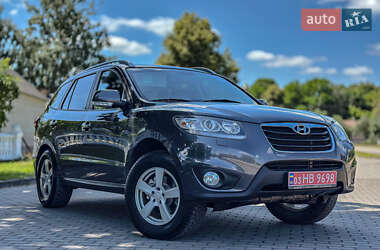 Внедорожник / Кроссовер Hyundai Santa FE 2010 в Радивилове