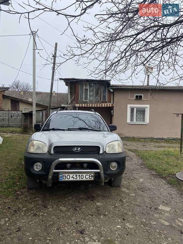 Внедорожник / Кроссовер Hyundai Santa FE 2001 в Бучаче