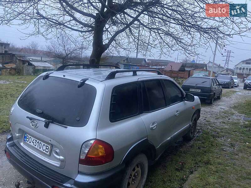 Внедорожник / Кроссовер Hyundai Santa FE 2001 в Бучаче