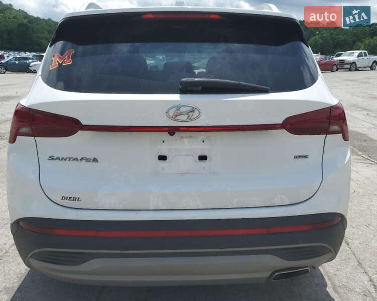 Внедорожник / Кроссовер Hyundai Santa FE 2023 в Киеве