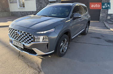 Внедорожник / Кроссовер Hyundai Santa FE 2023 в Умани