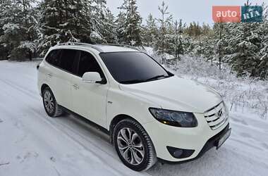 Внедорожник / Кроссовер Hyundai Santa FE 2010 в Андреевке
