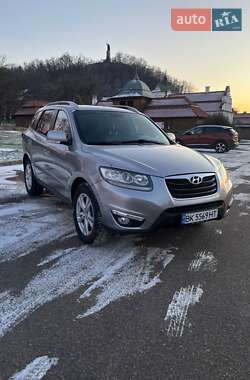 Внедорожник / Кроссовер Hyundai Santa FE 2010 в Черкассах