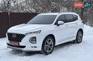 Внедорожник / Кроссовер Hyundai Santa FE 2020 в Барышевке