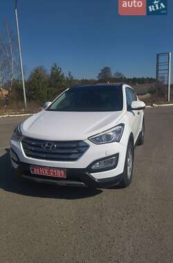 Позашляховик / Кросовер Hyundai Santa FE 2014 в Радивиліві