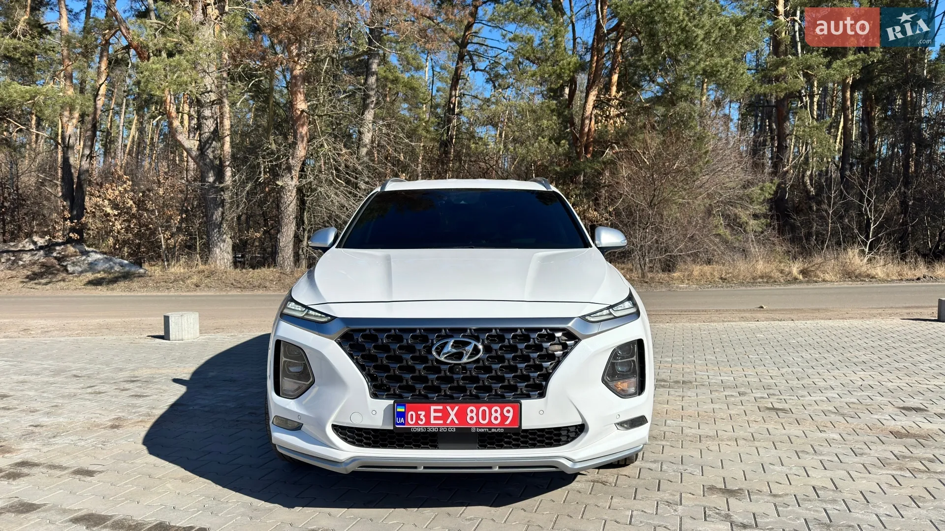 2019 Hyundai Santa Fe - мініатюра 4