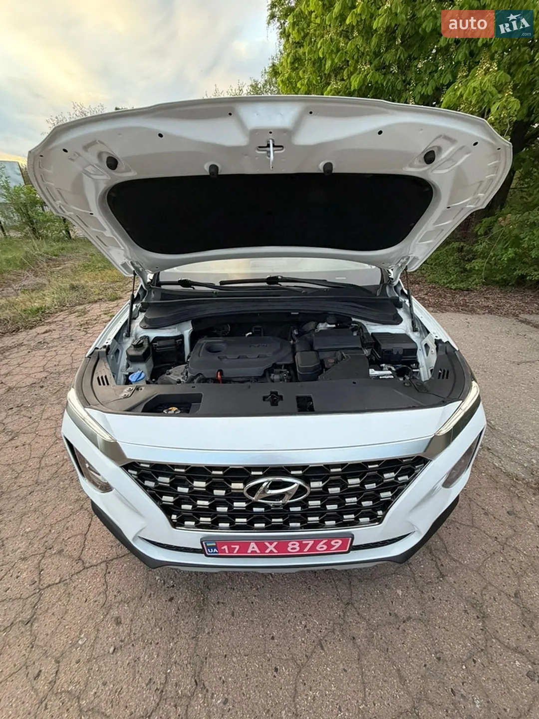 2019 Hyundai Santa Fe - мініатюра 80