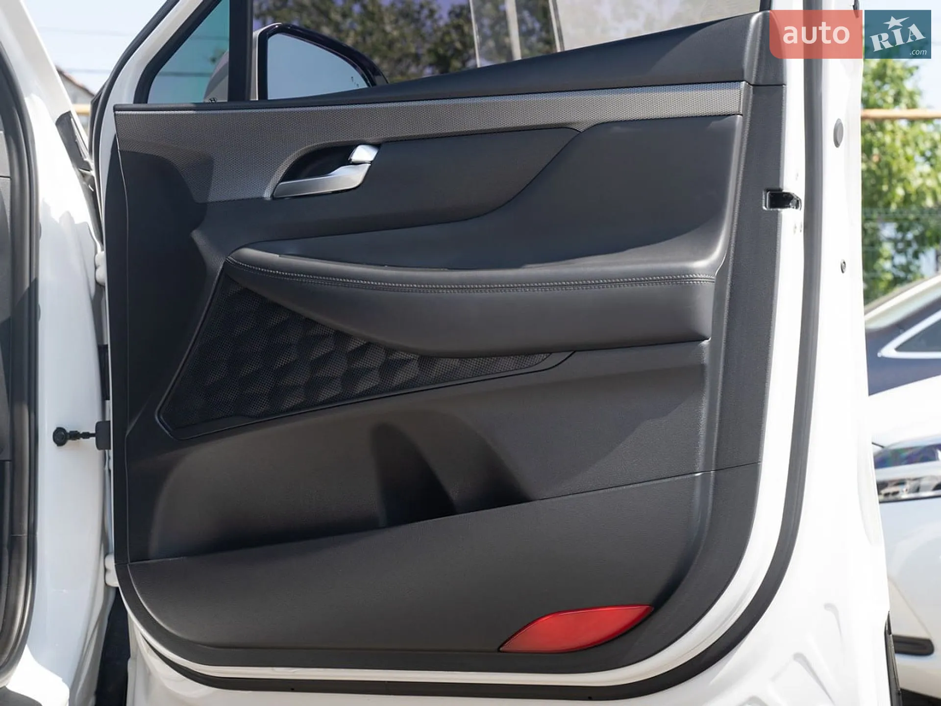 2019 Hyundai Santa Fe - мініатюра 34