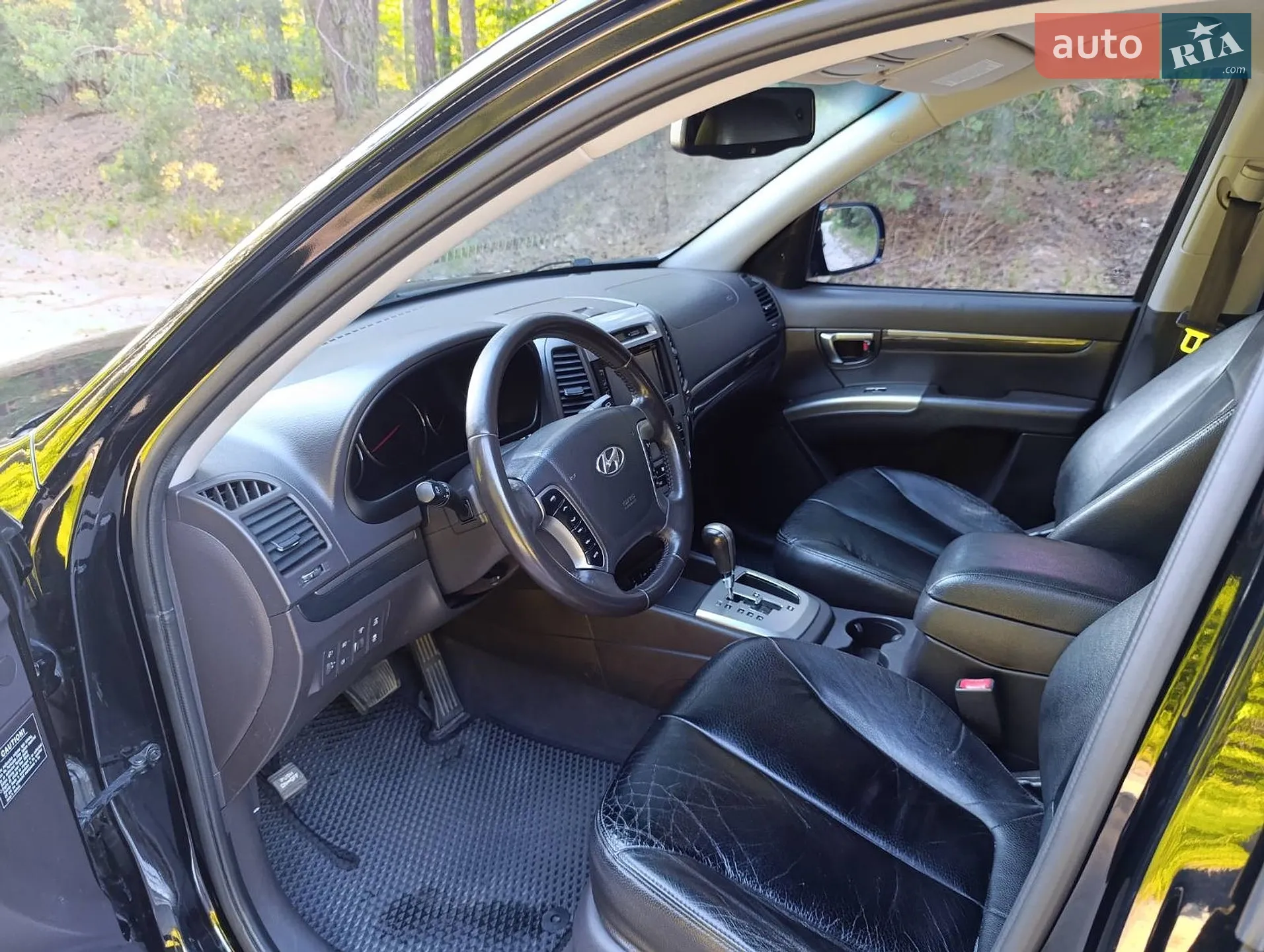 2010 Hyundai Santa Fe - мініатюра 19