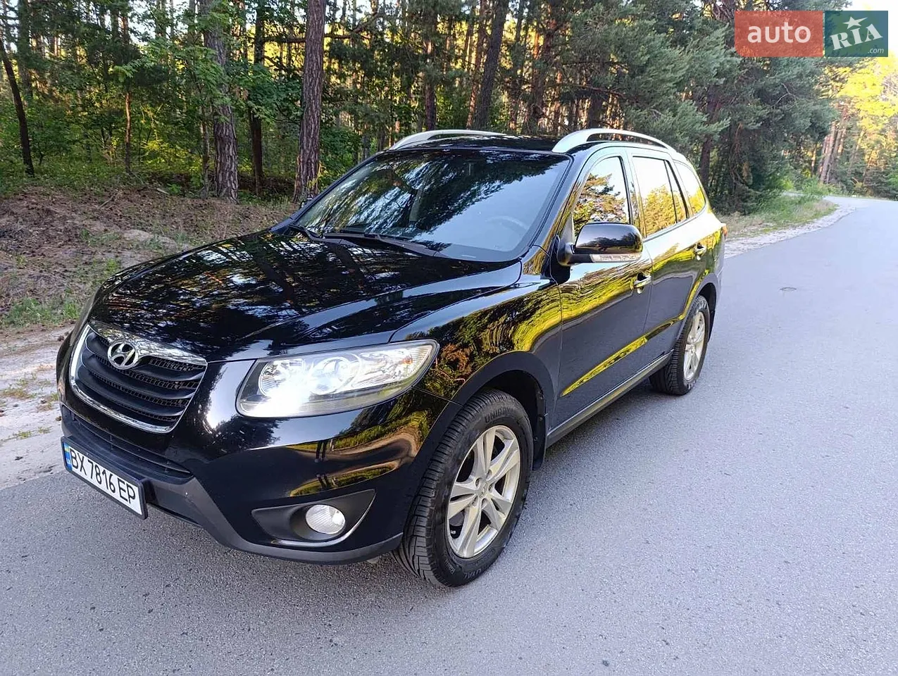 2010 Hyundai Santa Fe - мініатюра 29