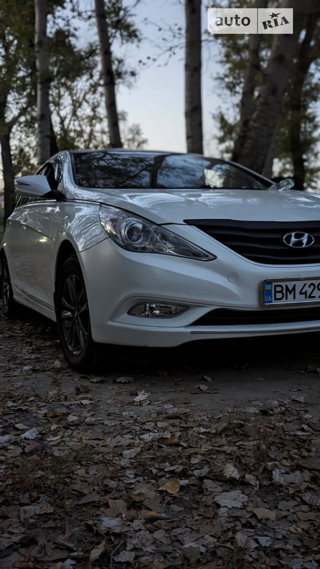2012 Hyundai Sonata - мініатюра 2