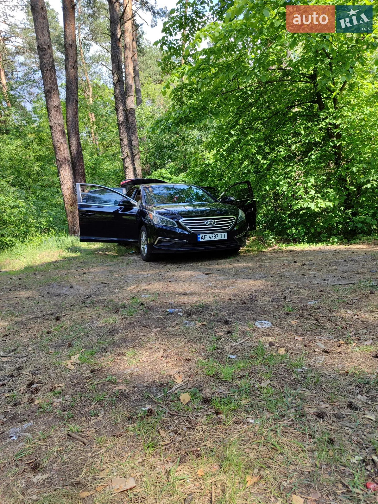 2014 Hyundai Sonata - мініатюра 5