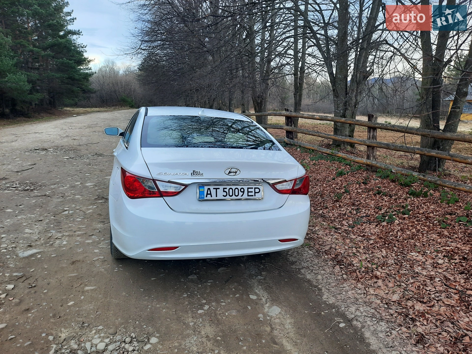 2010 Hyundai Sonata - мініатюра 2
