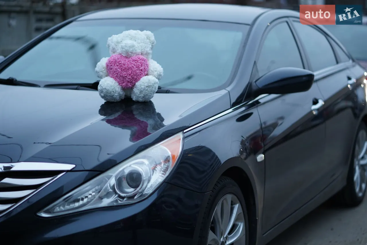 2010 Hyundai Sonata - мініатюра 31