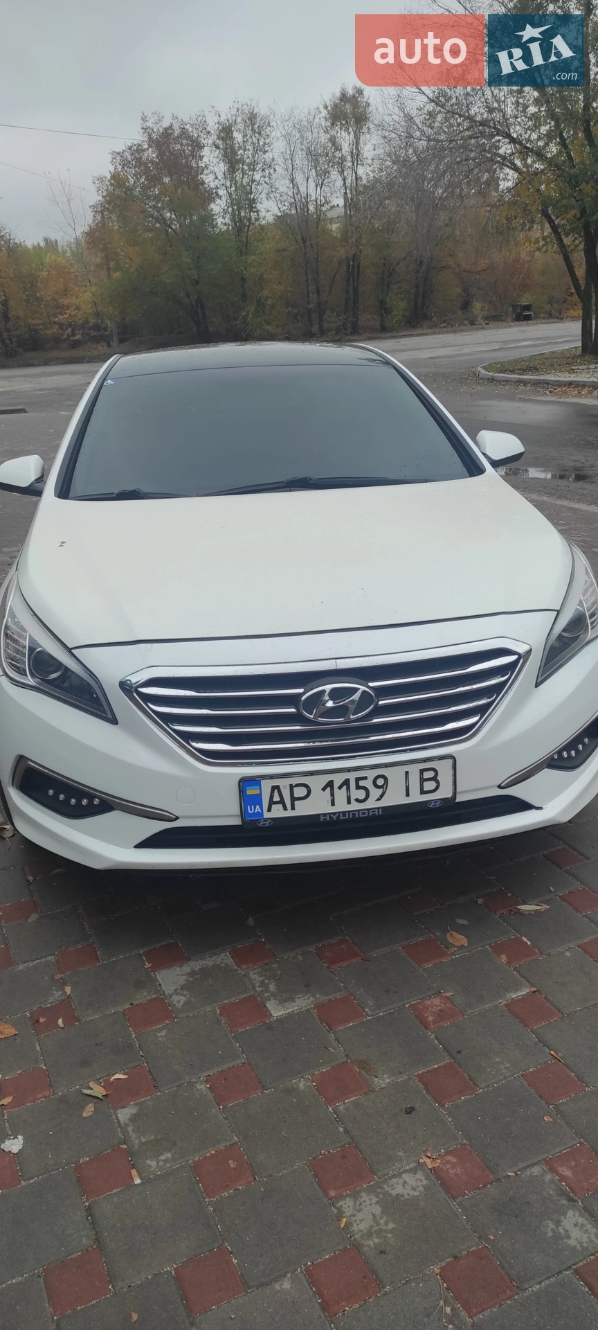 2016 Hyundai Sonata - мініатюра 14