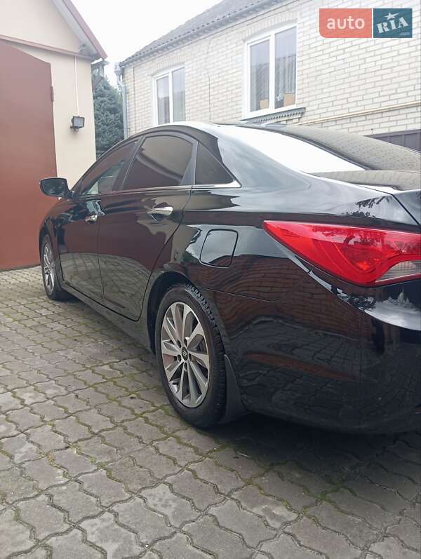 Седан Hyundai Sonata 2014 в Луцке фото 28 Седан Hyundai Sonata 2014 в Луцке