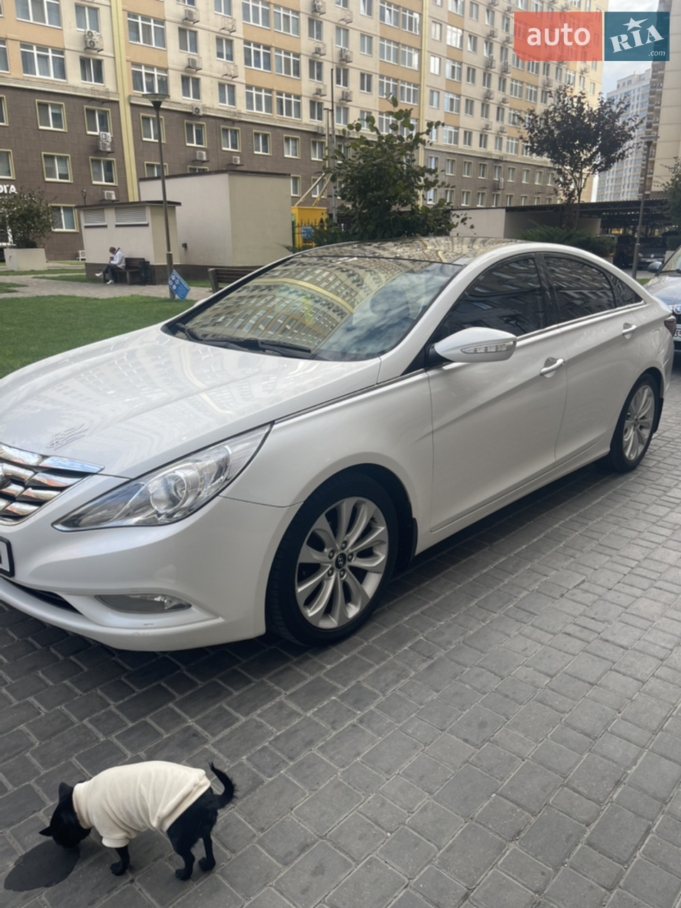 2011 Hyundai Sonata - мініатюра 27