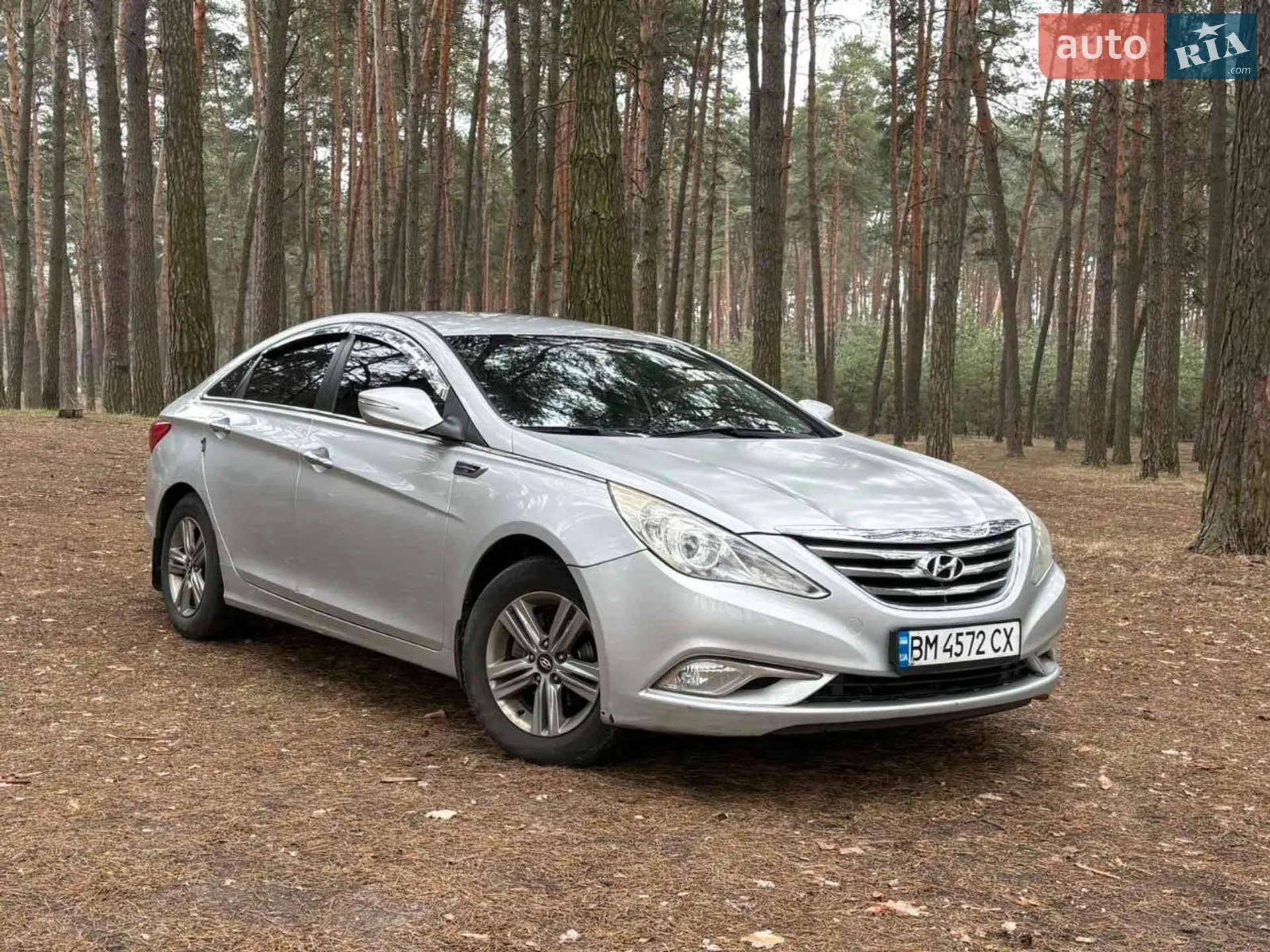 2013 Hyundai Sonata - мініатюра 2