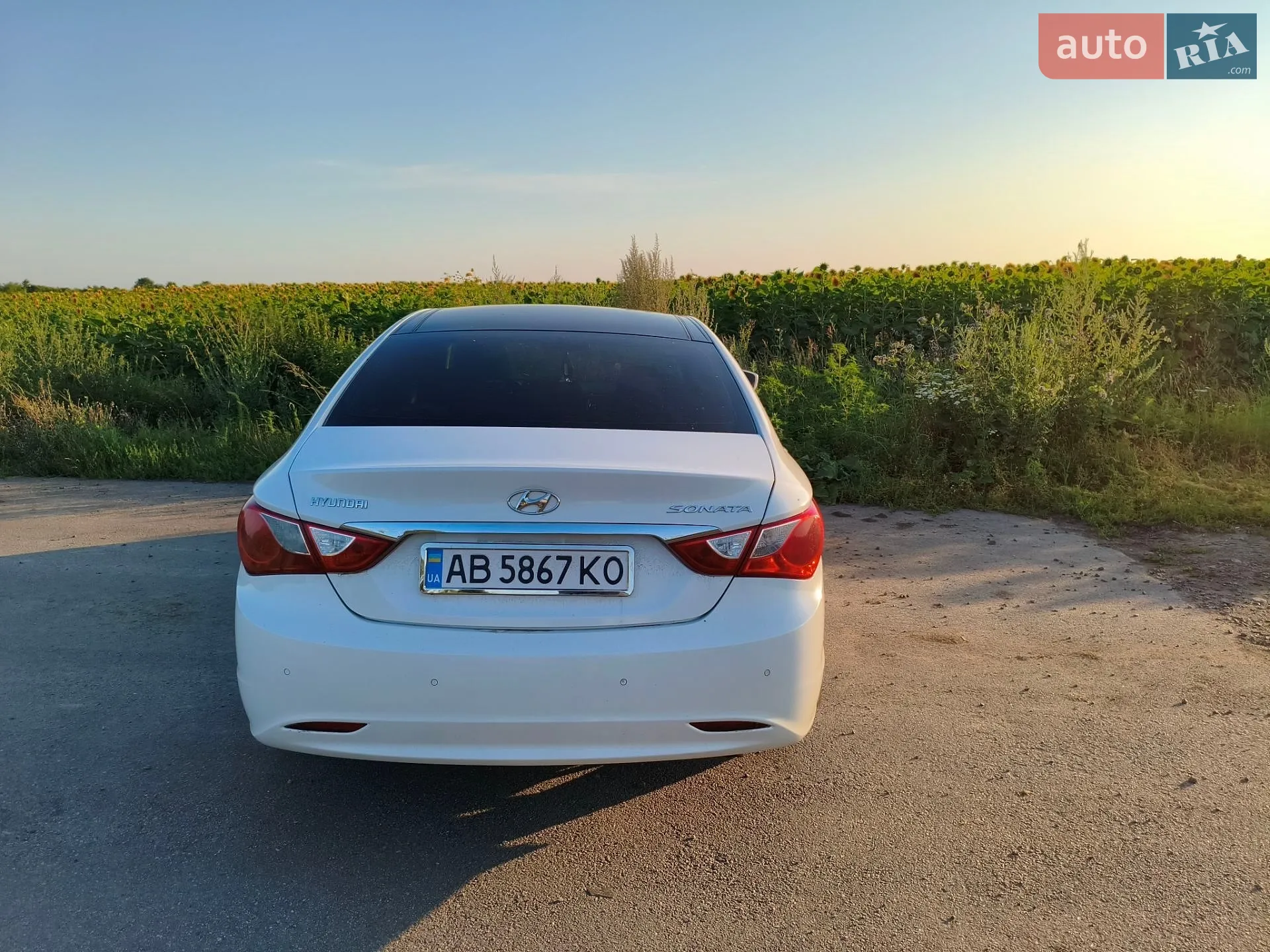 2010 Hyundai Sonata - мініатюра 2