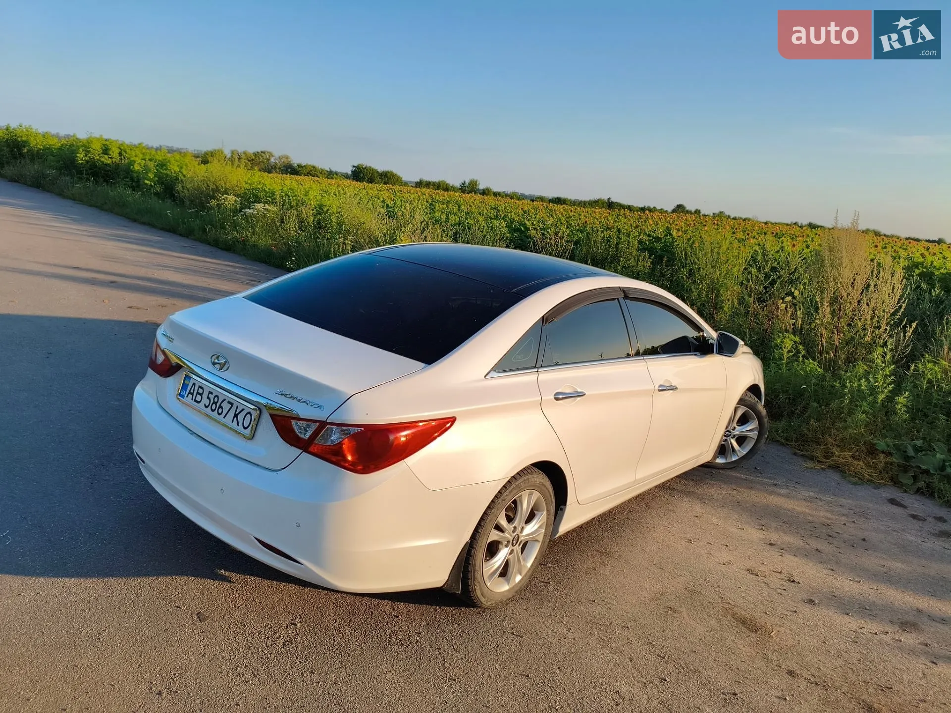 2010 Hyundai Sonata - мініатюра 17