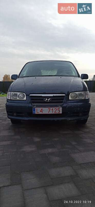 Минивэн Hyundai Trajet 2004 в Турийске