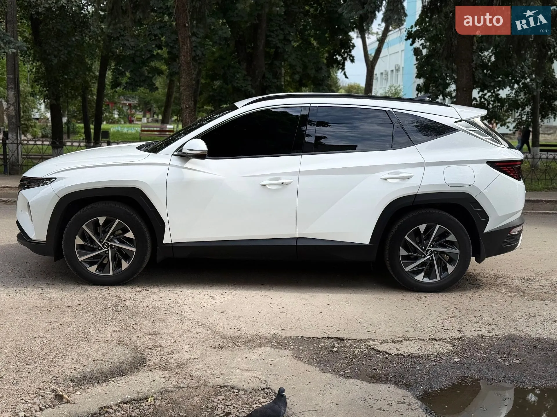 2021 Hyundai Tucson - мініатюра 2