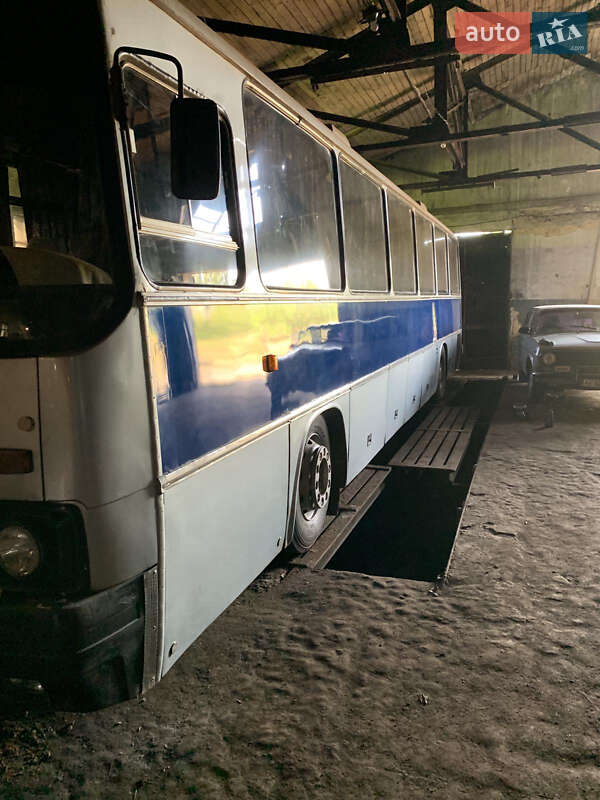 Туристичний / Міжміський автобус Ikarus 250 1989 в Кривому Розі