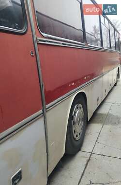 Другие автобусы Ikarus 250 1988 в 