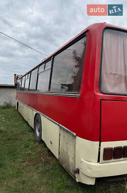 Туристический / Междугородний автобус Ikarus 250 1988 в Ромнах