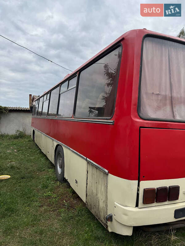 Туристический / Междугородний автобус Ikarus 250 1988 в Ромнах