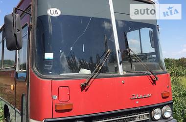 Автобус Ikarus 256 1984 в Сєверодонецьку