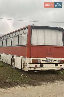 Туристический / Междугородний автобус Ikarus 256 1990 в Тернополе