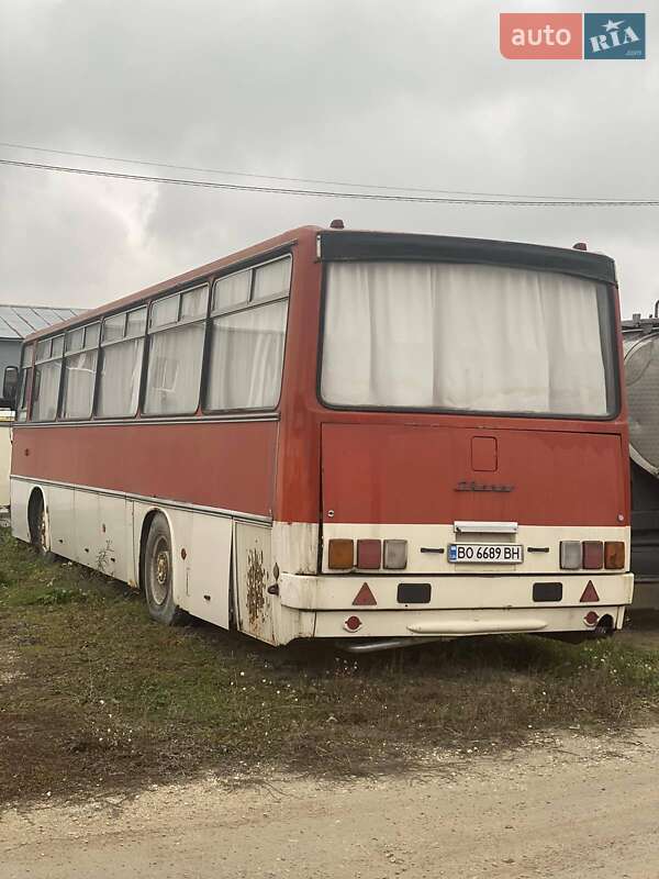 Туристический / Междугородний автобус Ikarus 256 1990 в Тернополе