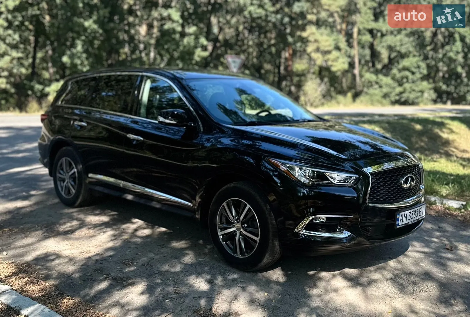 2019 Infiniti QX60 - мініатюра 13