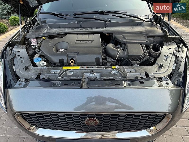 Внедорожник / Кроссовер Jaguar E-Pace 2018 в Бершади фото 89 Внедорожник / Кроссовер Jaguar E-Pace 2018 в Бершади