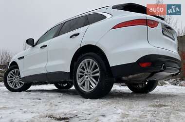 Внедорожник / Кроссовер Jaguar F-Pace 2016 в Киеве фото 51 Внедорожник / Кроссовер Jaguar F-Pace 2016 в Киеве