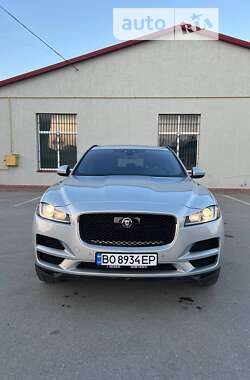 Внедорожник / Кроссовер Jaguar F-Pace 2019 в Тернополе