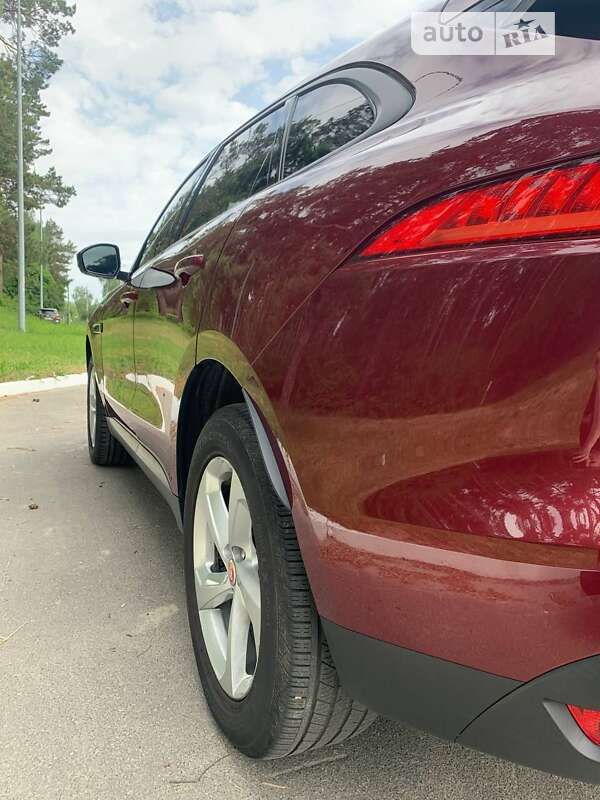 Внедорожник / Кроссовер Jaguar F-Pace 2017 в Киеве