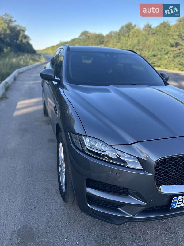 Внедорожник / Кроссовер Jaguar F-Pace 2017 в Александровке