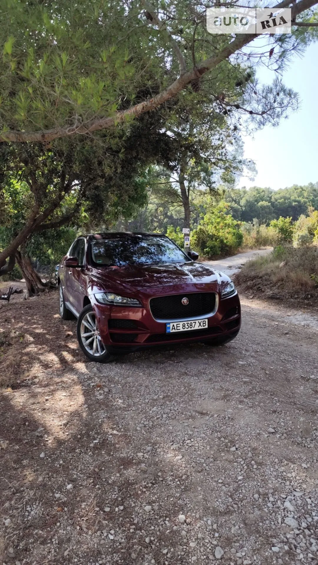 2016 Jaguar F-Pace - мініатюра 2